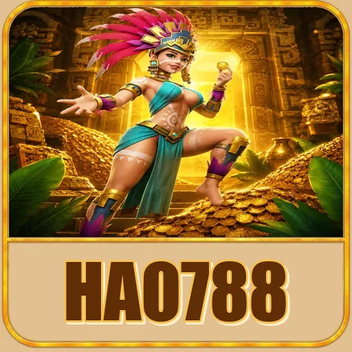 hao788
